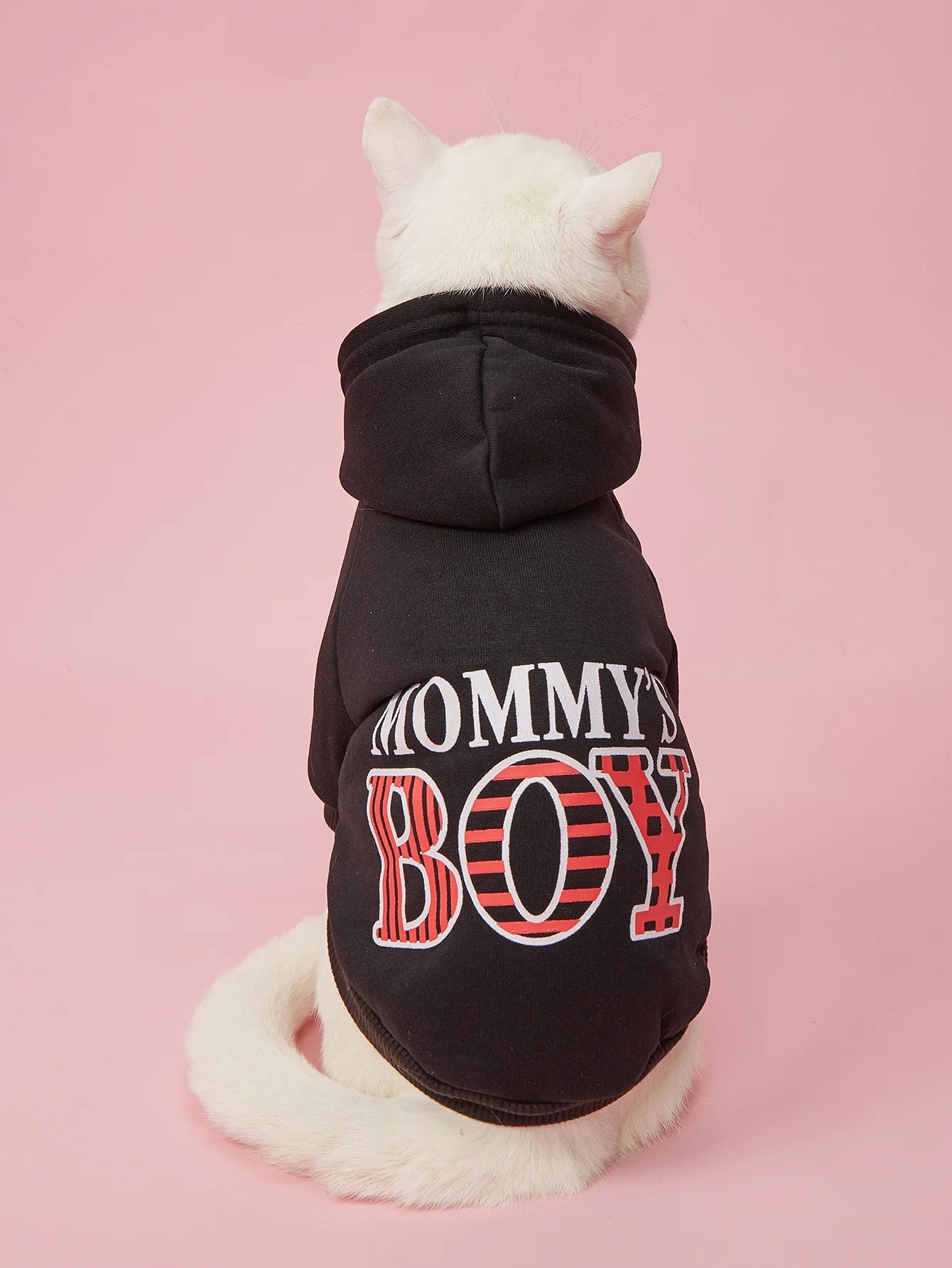 Bluza dla Psa i Kota – Hoodie „MOMMY’S BOY” dla Małych i Średnich Pupili