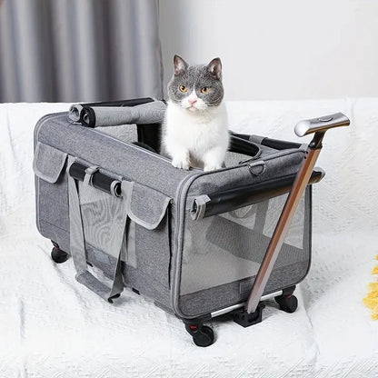 Large Pet Transport Case - Foldable Wheeled Bag for Dogs and Cats