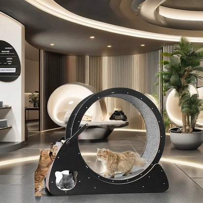 Wooden Cat Tunnel – Modern Design, Eco-Friendly Materials