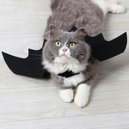 Halloween Costume for Dogs and Cats – Bat Wings with Suspenders 