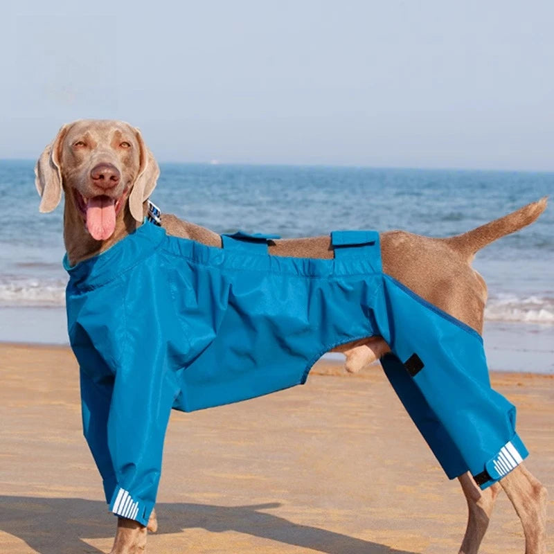 Dog Raincoat - Waterproof, Detachable with Reflective Elements