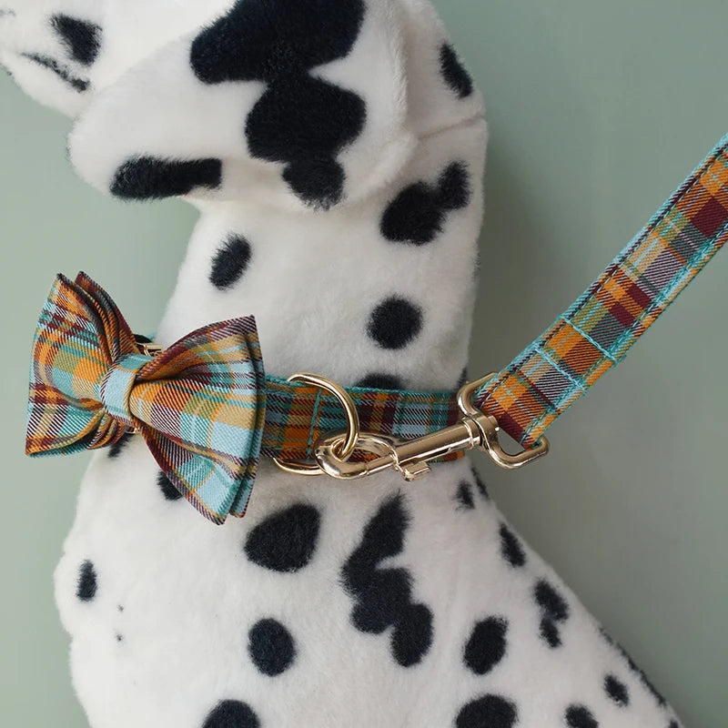 Dog Accessories Set – Collar, Harness and Leash with Personalisation 