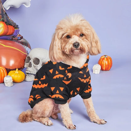 Black Dog and Cat Hoodie - Halloween Costume with Pumpkin Pattern
