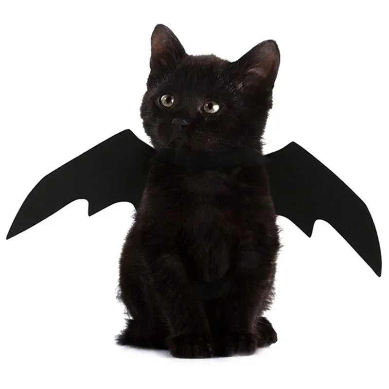 Halloween Costume for Dogs and Cats – Bat Wings with Suspenders 