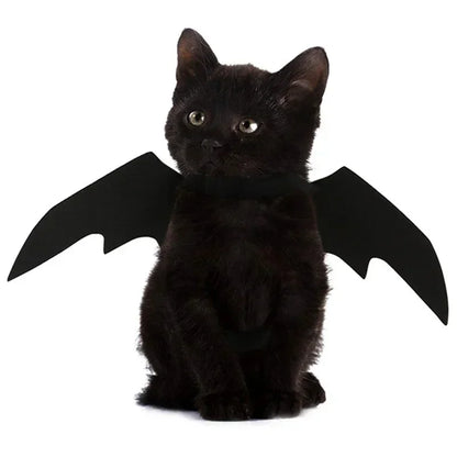 Halloween Costume for Dogs and Cats – Bat Wings with Suspenders 