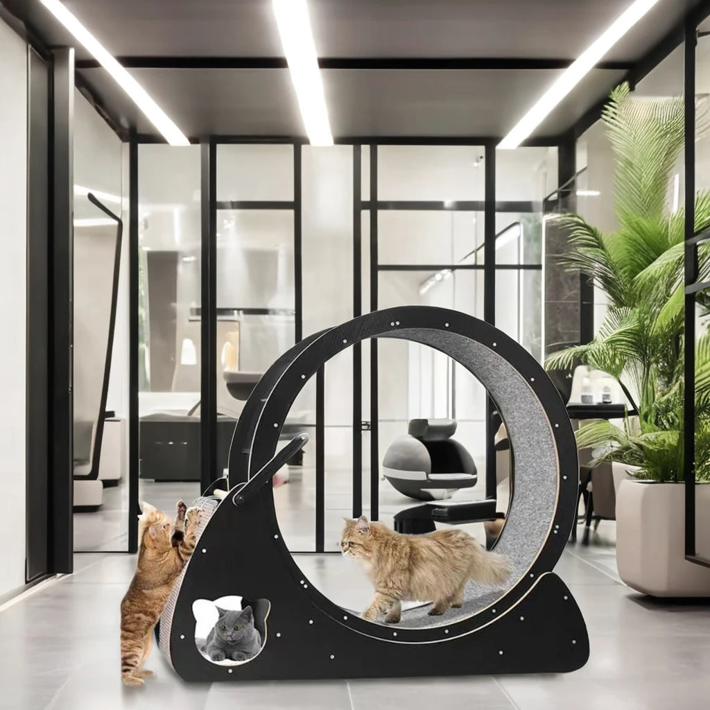 Wooden Cat Tunnel – Modern Design, Eco-Friendly Materials