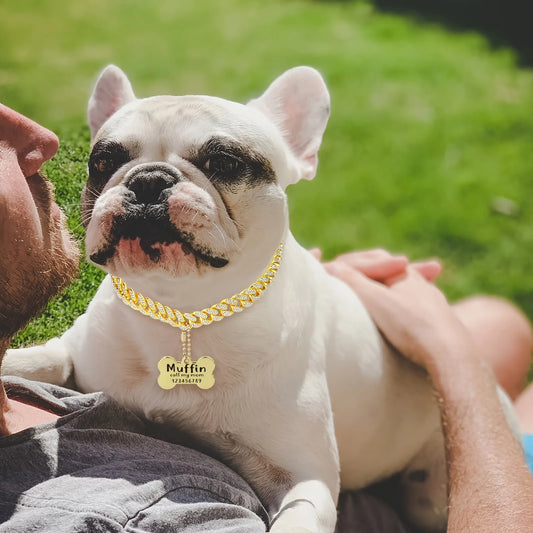 Personalized Chain Dog Collar - Stainless Steel with Quick Fastener