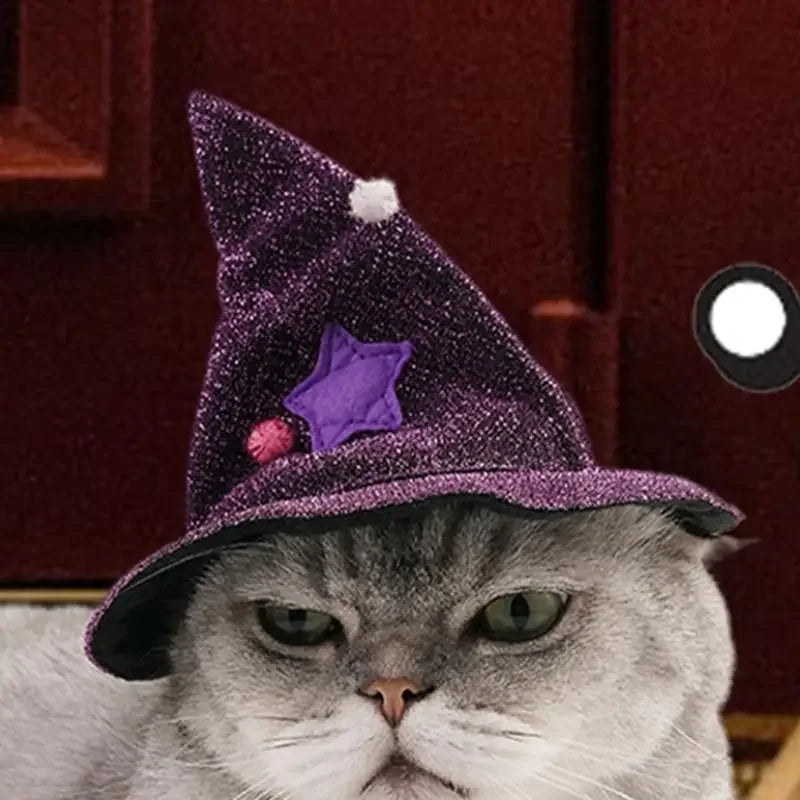 Halloween Costume for Cat and Dog – Witch's Cape and Hat (Satin, Purple)