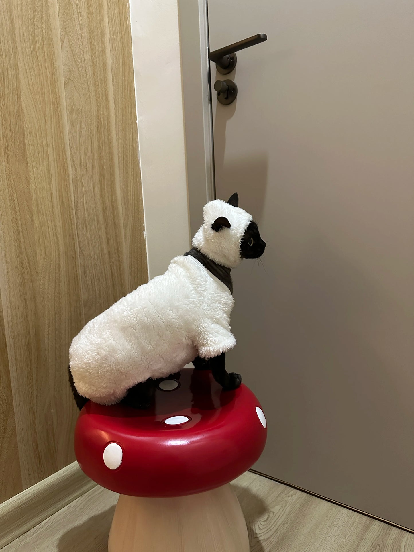 Sheep Down Jacket for Cats – Fashionable and Warm for Fall and Winter