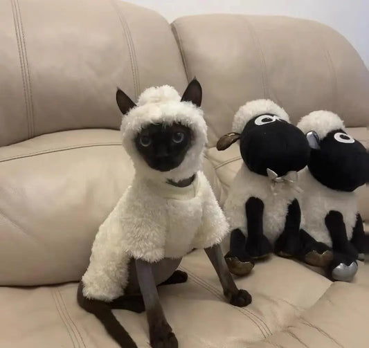 Sheep Down Jacket for Cats – Fashionable and Warm for Fall and Winter