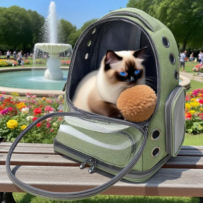Transparent and Breathable Pet Carrier Backpack for Cats and Small Dogs
