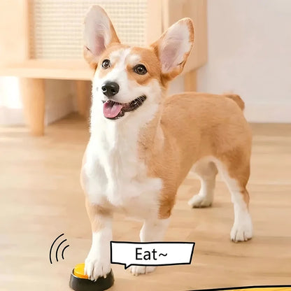 Dog and Cat Training Button - 30s Recordable Voice Communicator
