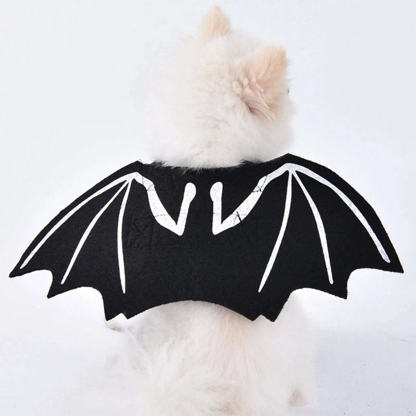 Halloween Bat Wings for Cat and Dog - Cosplay Costume for Parties and Photoshoots