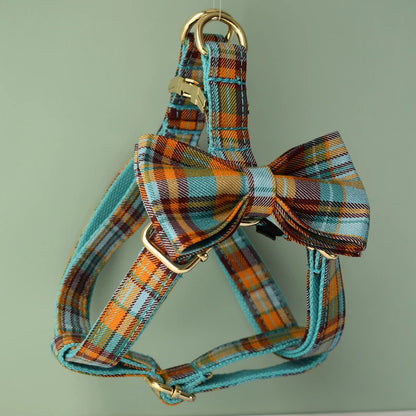 Dog Accessories Set – Collar, Harness and Leash with Personalisation 